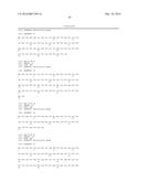 ENTEROCOCCUS FAECALIS BACTERIOPHAGE AND USES THEREOF diagram and image