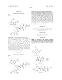 Hepatitis C Virus Inhibitors diagram and image