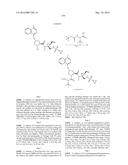 Hepatitis C Virus Inhibitors diagram and image