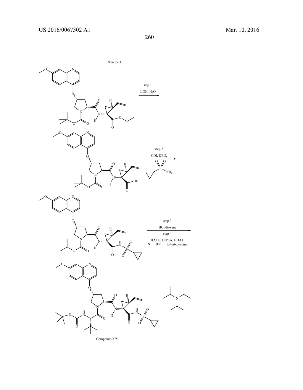 Hepatitis C Virus Inhibitors - diagram, schematic, and image 261