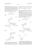 Hepatitis C Virus Inhibitors diagram and image