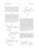 Hepatitis C Virus Inhibitors diagram and image