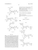 Hepatitis C Virus Inhibitors diagram and image