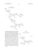 Hepatitis C Virus Inhibitors diagram and image