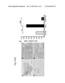 COMPOSITION FOR REGENERATION OF CARTILAGE diagram and image