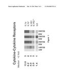 Compositions and Methods for the Systemic Treatment of Arthritis diagram and image