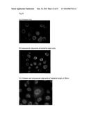 NOVEL VACCINE FORMULATION FOR OCULAR IMMUNIZATION diagram and image