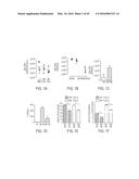 VIRAL PROTEINS AS IMMUNOMODULATORY AGENTS AND VACCINE COMPONENTS diagram and image