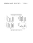 VIRAL PROTEINS AS IMMUNOMODULATORY AGENTS AND VACCINE COMPONENTS diagram and image