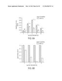 VIRAL PROTEINS AS IMMUNOMODULATORY AGENTS AND VACCINE COMPONENTS diagram and image