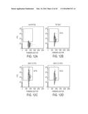 VIRAL PROTEINS AS IMMUNOMODULATORY AGENTS AND VACCINE COMPONENTS diagram and image