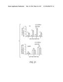 VIRAL PROTEINS AS IMMUNOMODULATORY AGENTS AND VACCINE COMPONENTS diagram and image