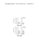 VIRAL PROTEINS AS IMMUNOMODULATORY AGENTS AND VACCINE COMPONENTS diagram and image