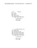 VIRAL PROTEINS AS IMMUNOMODULATORY AGENTS AND VACCINE COMPONENTS diagram and image