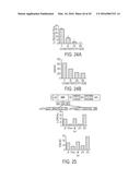 VIRAL PROTEINS AS IMMUNOMODULATORY AGENTS AND VACCINE COMPONENTS diagram and image