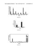 PSMA BINDING LIGAND-LINKER CONJUGATES AND METHODS FOR USING diagram and image