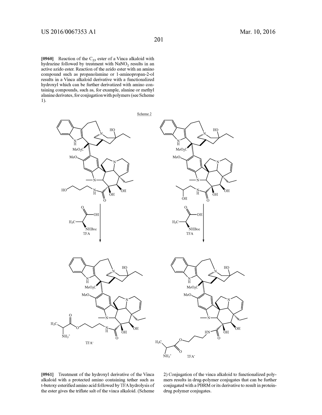 PROTEIN-POLYMER-DRUG CONJUGATES - diagram, schematic, and image 208