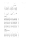 GENETICALLY MODIFIED HUMAN NATURAL KILLER CELL LINES diagram and image