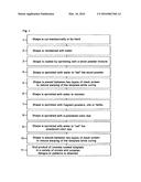 Multi-layered incense device and method of making such diagram and image