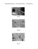 3D BIOMIMETIC, BI-PHASIC KEY FEATURED SCAFFOLD FOR OSTEOCHONDRAL REPAIR diagram and image