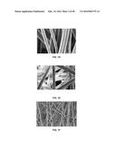 3D BIOMIMETIC, BI-PHASIC KEY FEATURED SCAFFOLD FOR OSTEOCHONDRAL REPAIR diagram and image