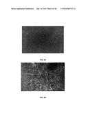 3D BIOMIMETIC, BI-PHASIC KEY FEATURED SCAFFOLD FOR OSTEOCHONDRAL REPAIR diagram and image