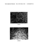 3D BIOMIMETIC, BI-PHASIC KEY FEATURED SCAFFOLD FOR OSTEOCHONDRAL REPAIR diagram and image