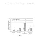 3D BIOMIMETIC, BI-PHASIC KEY FEATURED SCAFFOLD FOR OSTEOCHONDRAL REPAIR diagram and image