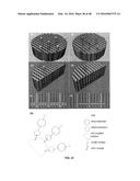 3D BIOMIMETIC, BI-PHASIC KEY FEATURED SCAFFOLD FOR OSTEOCHONDRAL REPAIR diagram and image