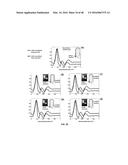 3D BIOMIMETIC, BI-PHASIC KEY FEATURED SCAFFOLD FOR OSTEOCHONDRAL REPAIR diagram and image