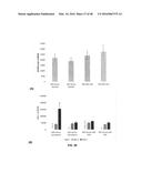 3D BIOMIMETIC, BI-PHASIC KEY FEATURED SCAFFOLD FOR OSTEOCHONDRAL REPAIR diagram and image