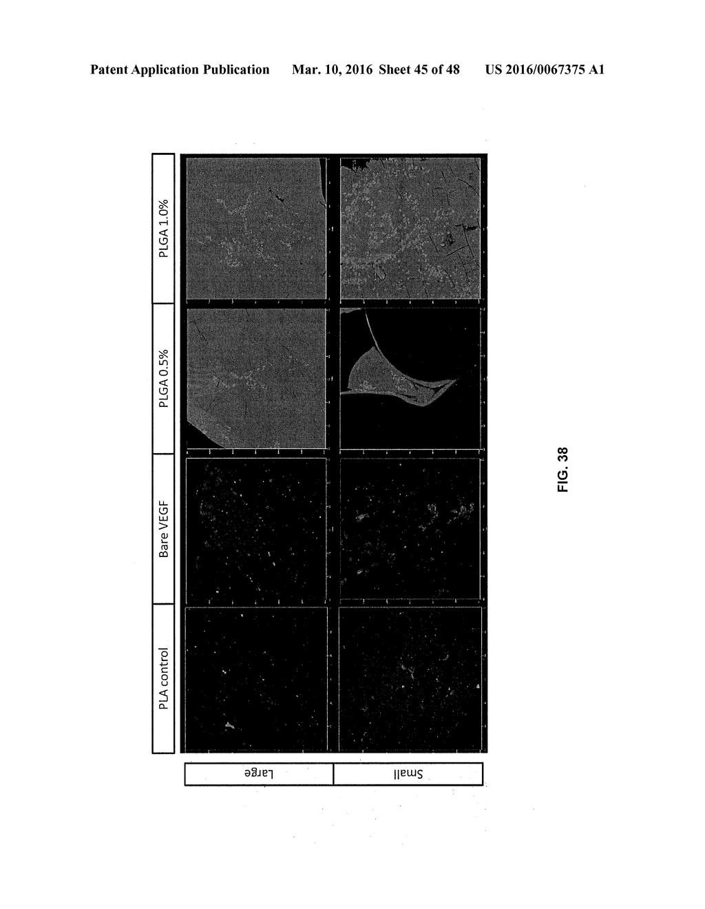 3D BIOMIMETIC, BI-PHASIC KEY FEATURED SCAFFOLD FOR OSTEOCHONDRAL REPAIR - diagram, schematic, and image 46