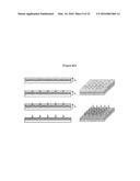 METHOD FOR MANUFACTURING MICROSTRUCTURE USING CENTRIFUGAL FORCE AND     MICROSTRUCTURE MANUFACTURED BY SAME diagram and image