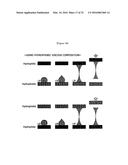 METHOD FOR MANUFACTURING MICROSTRUCTURE USING CENTRIFUGAL FORCE AND     MICROSTRUCTURE MANUFACTURED BY SAME diagram and image