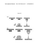 METHOD FOR MANUFACTURING MICROSTRUCTURE USING CENTRIFUGAL FORCE AND     MICROSTRUCTURE MANUFACTURED BY SAME diagram and image