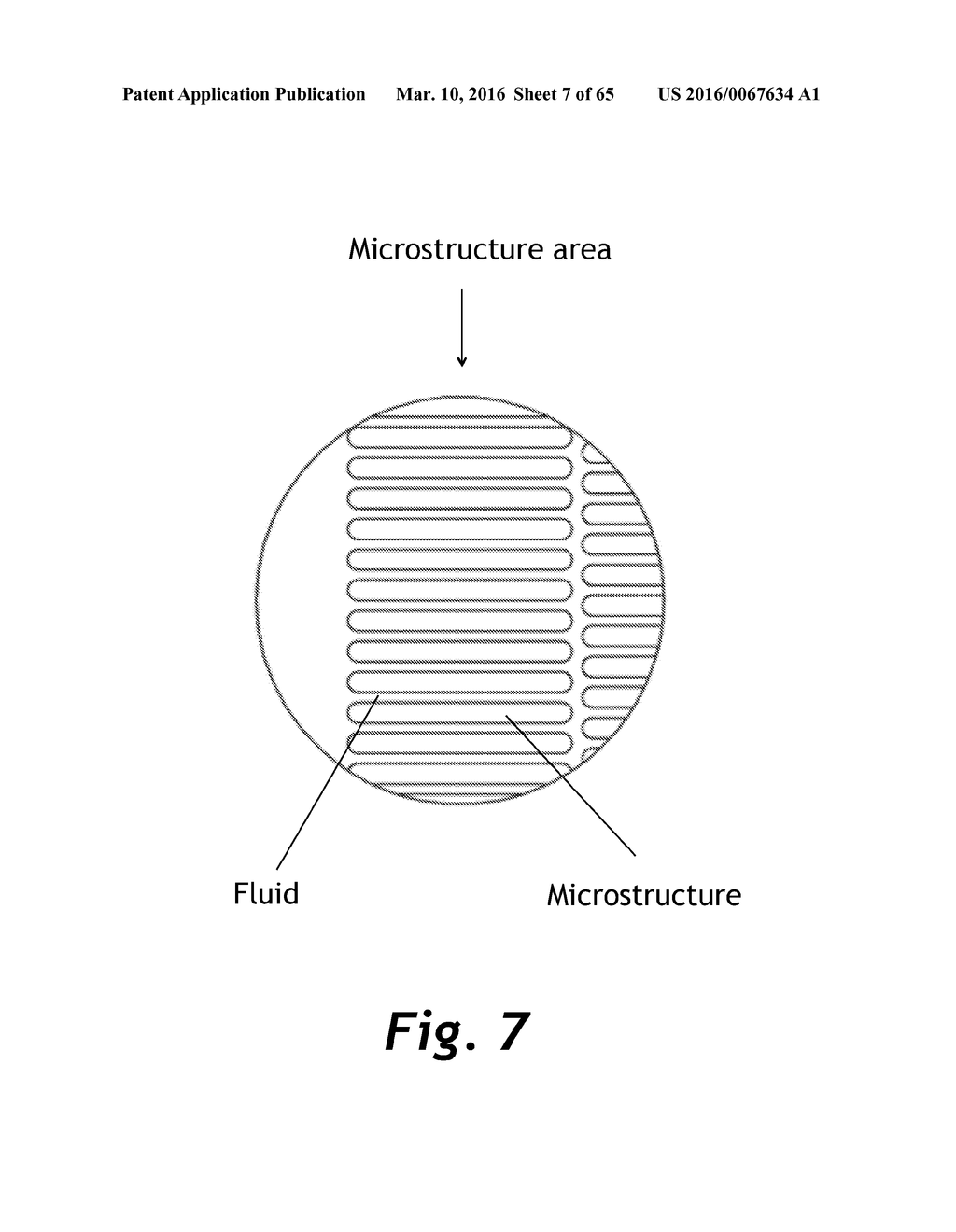 Microstructure Separation Filters - diagram, schematic, and image 08