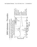 MULTIPLEXED SURFACE ENHANCED RAMAN SENSORS FOR EARLY DISEASE DETECTION AND     IN-SITU BACTERIAL MONITORING diagram and image