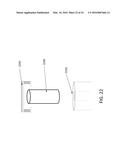 MULTIPLEXED SURFACE ENHANCED RAMAN SENSORS FOR EARLY DISEASE DETECTION AND     IN-SITU BACTERIAL MONITORING diagram and image