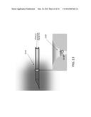 MULTIPLEXED SURFACE ENHANCED RAMAN SENSORS FOR EARLY DISEASE DETECTION AND     IN-SITU BACTERIAL MONITORING diagram and image