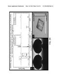 MULTIPLEXED SURFACE ENHANCED RAMAN SENSORS FOR EARLY DISEASE DETECTION AND     IN-SITU BACTERIAL MONITORING diagram and image