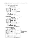 REAL-TIME VIRTUAL PROOFING SYSTEM AND METHOD FOR GRAVURE ENGRAVER diagram and image