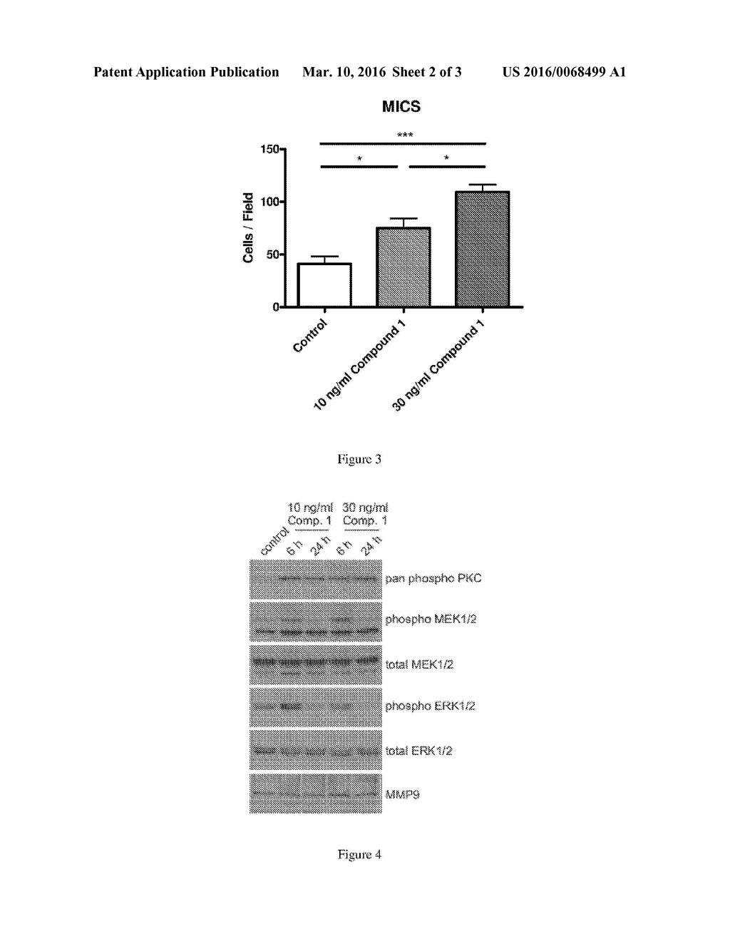 METHODS AND COMPOSITIONS FOR WOUND HEALING - diagram, schematic, and image 03