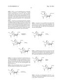 2,3-Fluorinated Glycosides as Neuraminidase Inhibitors and Their Use as     Anti-Virals diagram and image