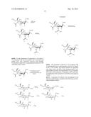 2,3-Fluorinated Glycosides as Neuraminidase Inhibitors and Their Use as     Anti-Virals diagram and image