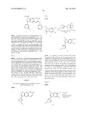 NOVEL COMPOUNDS THAT ARE ERK INHIBITORS diagram and image