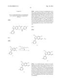 NOVEL COMPOUNDS THAT ARE ERK INHIBITORS diagram and image