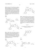 NOVEL COMPOUNDS THAT ARE ERK INHIBITORS diagram and image