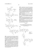 NOVEL COMPOUNDS THAT ARE ERK INHIBITORS diagram and image