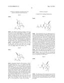 PROTEASE INHIBITORS diagram and image