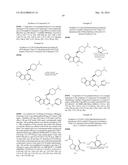 IRAK INHIBITORS AND USES THEREOF diagram and image